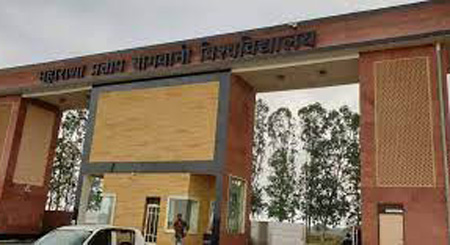 Maharana Pratap University