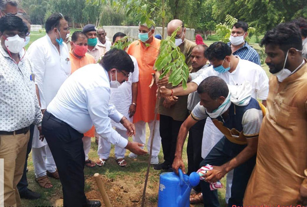 Plantation of saplings in Government College premises