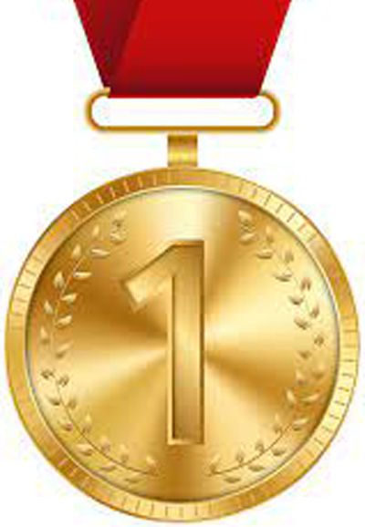 Rotary Club Gold Award