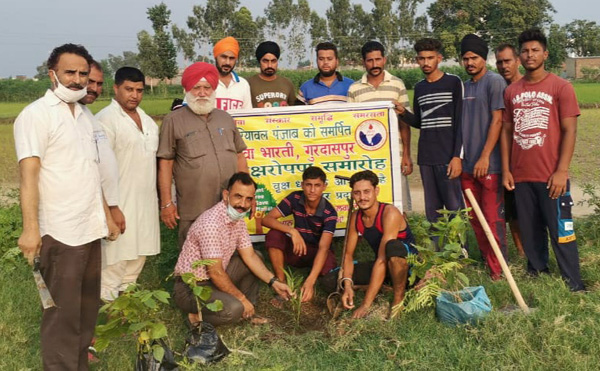 Van Mahotsav celebrated by planting 30 saplings