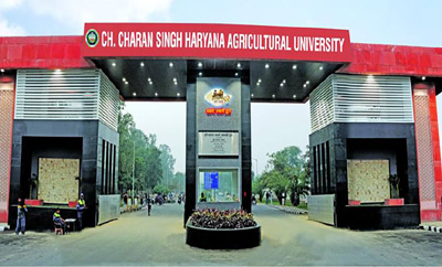 agriculture university