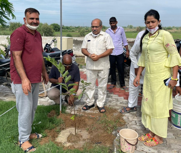 Charanjit Khattar planting a sapling