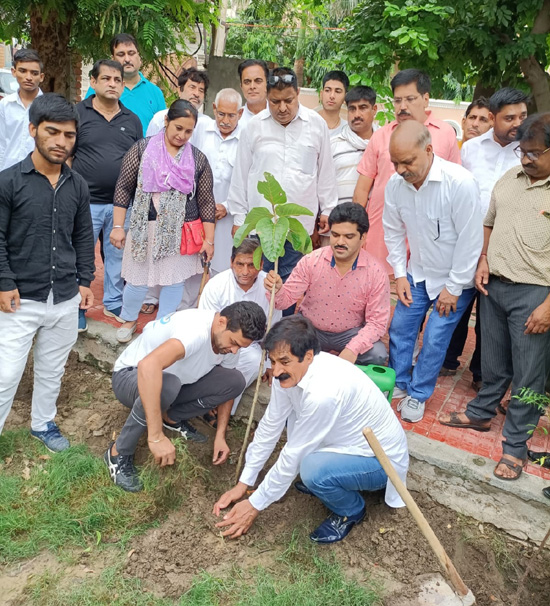 DLF planting trees in the park