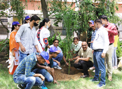 Principal Dr. Mahesh Khyalia planting saplings in Jat College premises