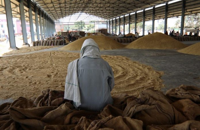 Farmers Worried Due To Fall In Paddy Prices