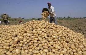 Haryana Farmers News