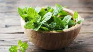 Benefits Of Mint For Our Body