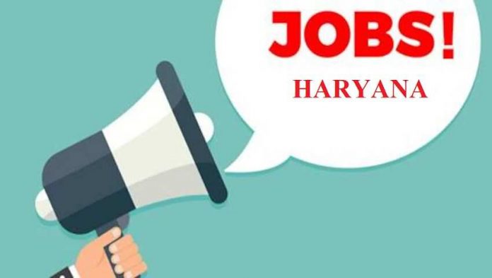 Jobs Private Companies In Haryana