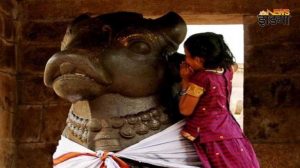 Secret Of Saying A Wish In Nandi's Ear: