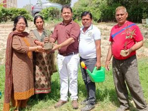 Plantation in Deshbandhu Gupta Government College