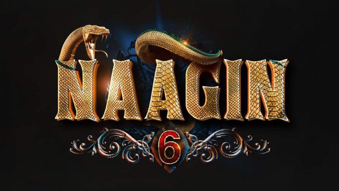 New Entry In Naagin 6