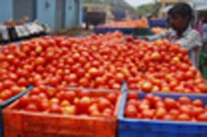 Important Role Of Tomato In Kitchen