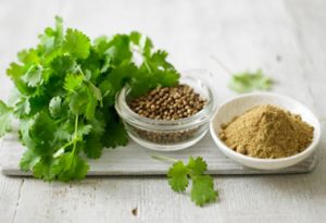  Green Coriander Is Beneficial For Health
