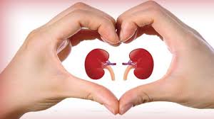 Healthy Foods  For  Kidney