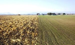 Crop Residue Management