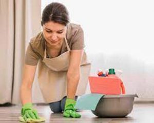 Make Natural Floor Cleaner At Home 