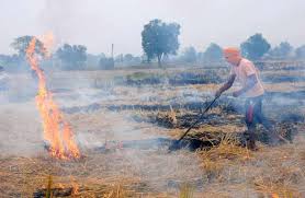Villagers Were Made Aware Not To Burn Crop Residues