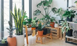 Home Decorating Tips 
