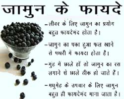 Know How Berries Are Beneficial 