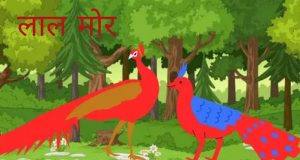 Tenaliram : Red Peacock