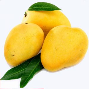 Mango Is King Of Fruits 