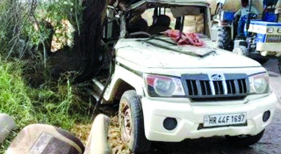 सिरसा के गांव बरुवाली में शादी में जा रही बोलेरो कार पेड़ से टकराई