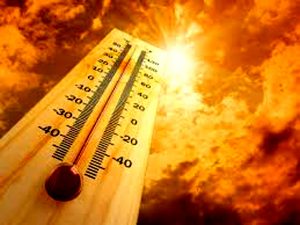 Haryana In The Grip Of Heat Wave