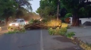 Strong storm in Karnal