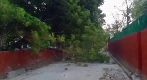 Strong storm in Karnal