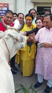 शहरी विधायक प्रमोद विज ने गोवंश के लिए गोशालाओं को भेजा चारा