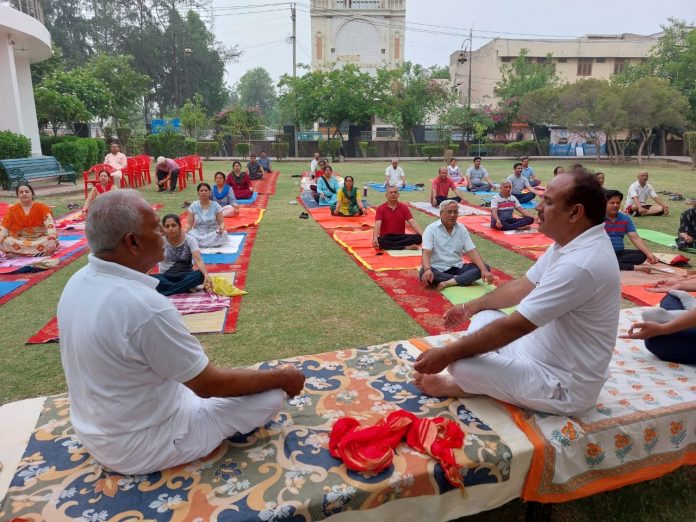 One Day Yoga Camp on International Yoga Day