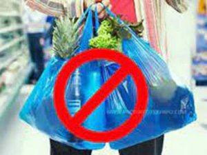 Panipat News/There will be a complete curb on the use of single use plastic from July 1: DC