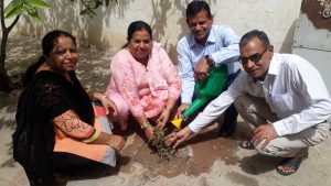 Cold Fresh Water Plantation And Planting