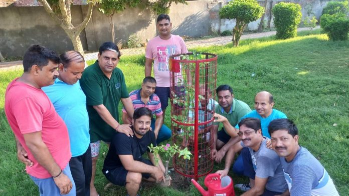 Panipat News/Wedding anniversary and birthday made memorable by planting saplings