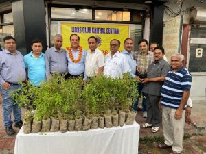 Kaithal News/Lions Club Kaithal Central distributed 200 Tulsi plants 