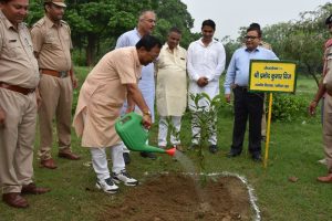 Panipat News/To preserve life it is very important to protect trees: MP Bhatia