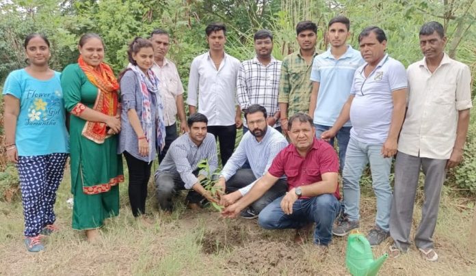 Panipat News/Plantation in Herbal Garden and Bird Sanctuary of Deshbandhu Gupta College