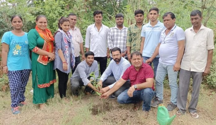 Panipat News/Plantation in Herbal Garden and Bird Sanctuary of Deshbandhu Gupta College