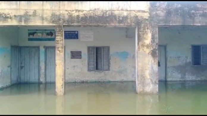 Government Animal Hospital of Village Popra Deteriorated