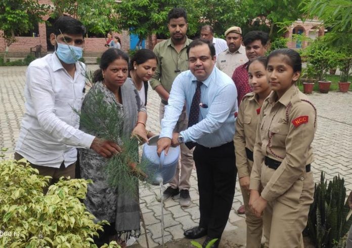 Panipat News/Plantation program organized in Government Girls Senior Secondary School Model Town