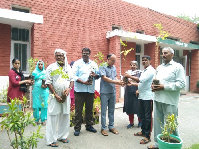 Plantation in Krishi Vigyan Kendra under Disha Project