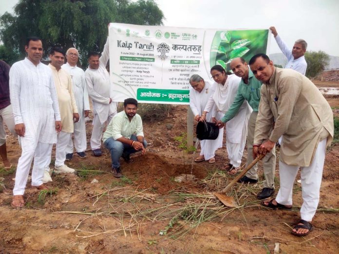 Plantation in the Area Affected by Pollution due to Mining