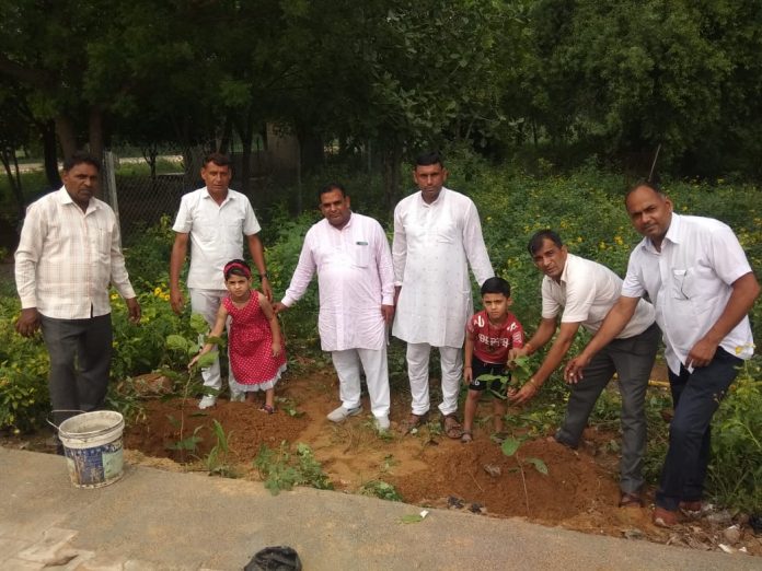 Twin Brother and Sister Planted Sapling on Birthday