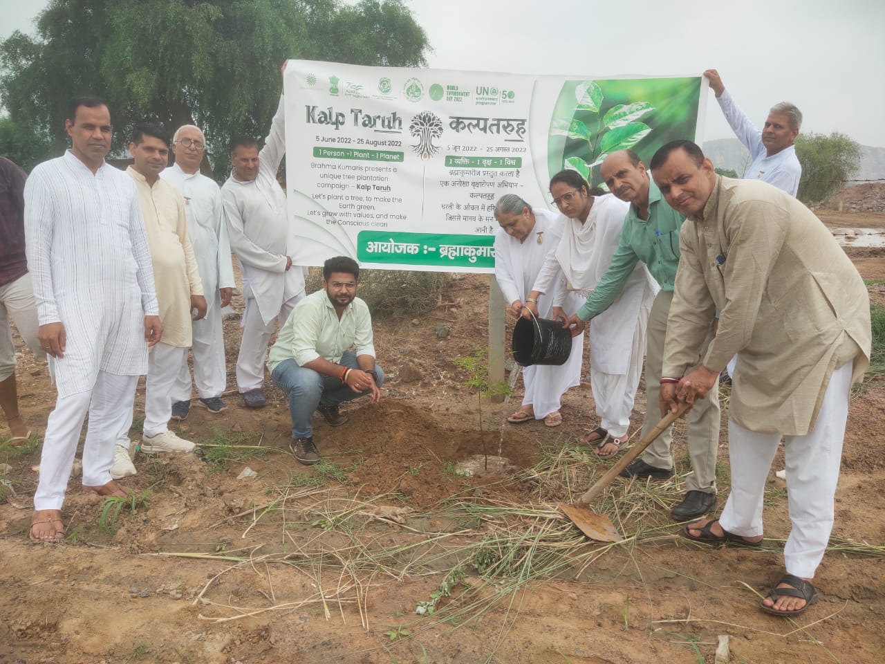 Plantation in the Area Affected by Pollution due to Mining