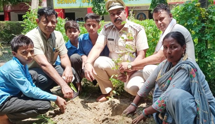 Panipat News/Planted a sapling by organizing 14th one day awareness program against drug addiction