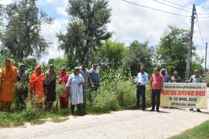 celebrated Carrot grass eradication awareness week in Mahendragarh