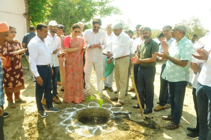 Plantation in MDU in collaboration with Horticulture Department