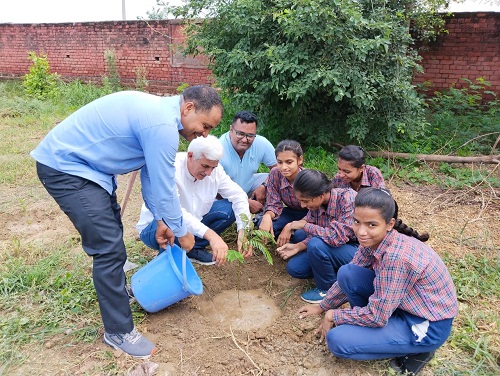 Forest Festival celebrated by planting saplings in Government High School Balwanti