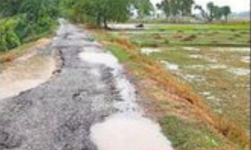 Government should repair roads in apple growing areas