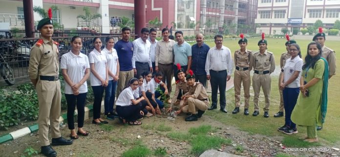 Panipat News/NSS.NCC Sanskarshala Club started tree plantation week in IB College